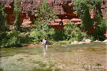 Flussdurchquerung